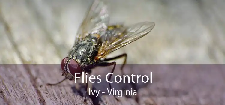 Flies Control Ivy - Virginia