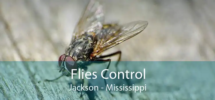 Flies Control Jackson - Mississippi
