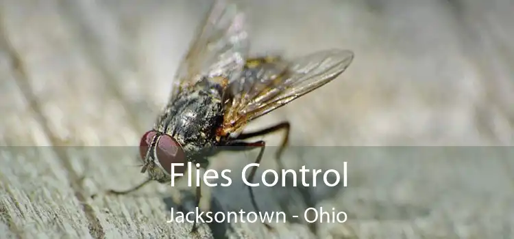 Flies Control Jacksontown - Ohio