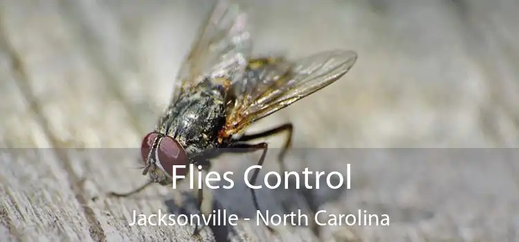 Flies Control Jacksonville - North Carolina