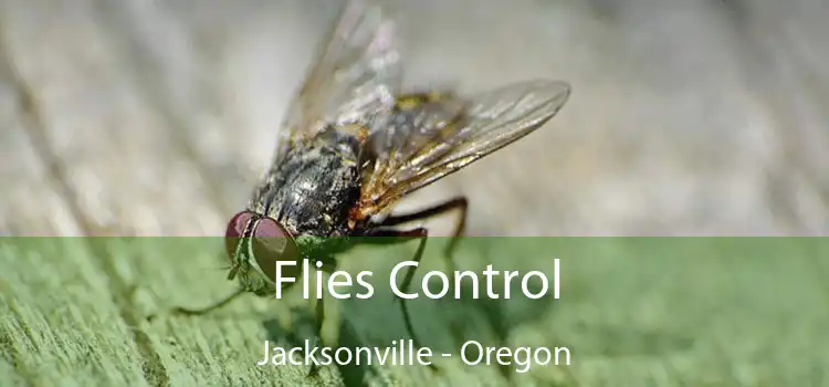 Flies Control Jacksonville - Oregon