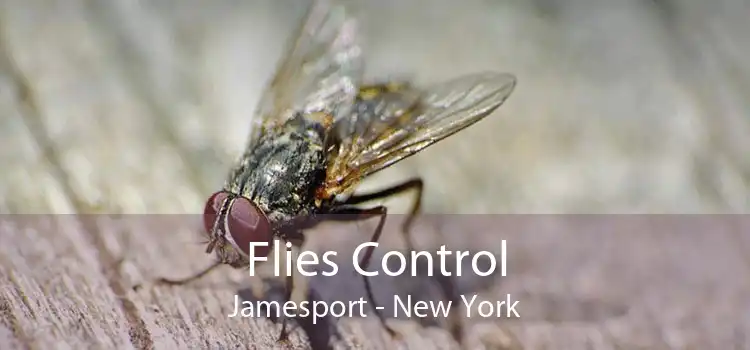Flies Control Jamesport - New York