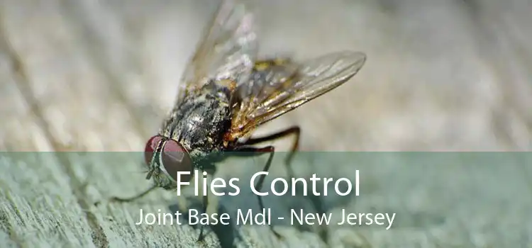 Flies Control Joint Base Mdl - New Jersey