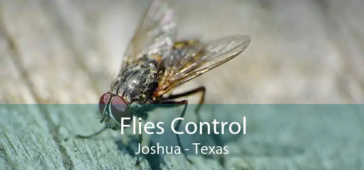 Flies Control Joshua - Texas