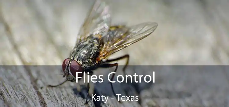 Flies Control Katy - Texas