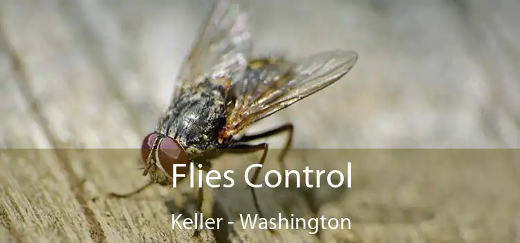 Flies Control Keller - Washington