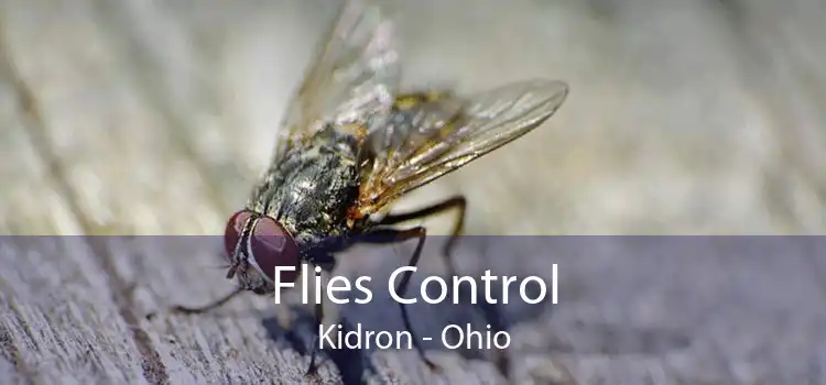 Flies Control Kidron - Ohio