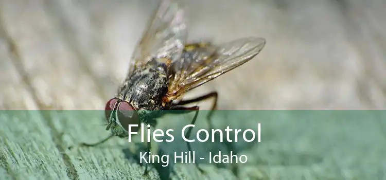 Flies Control King Hill - Idaho