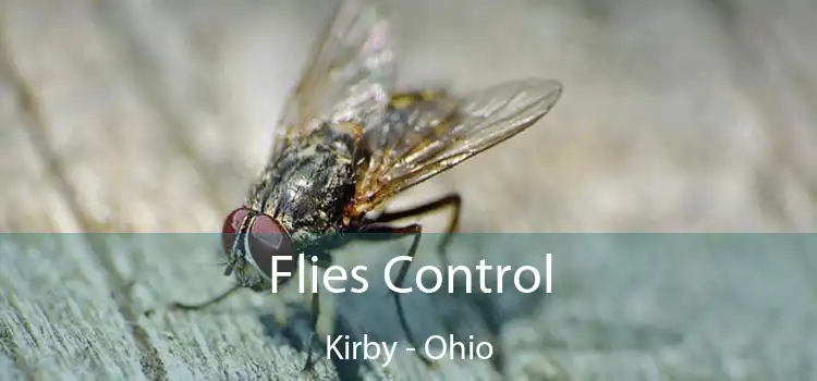 Flies Control Kirby - Ohio