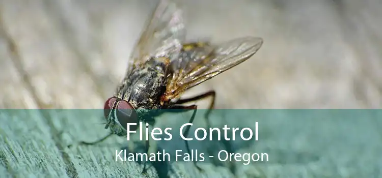 Flies Control Klamath Falls - Oregon