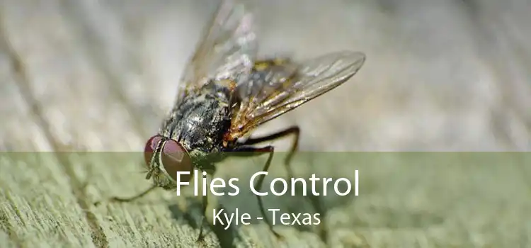 Flies Control Kyle - Texas