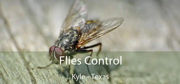 Flies Control Kyle - Texas