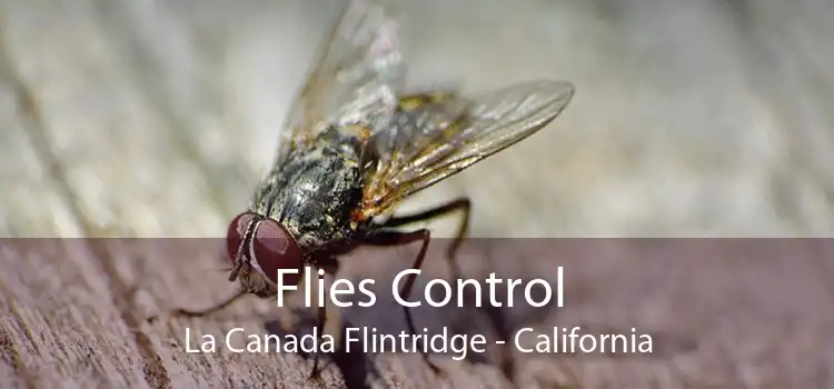 Flies Control La Canada Flintridge - California