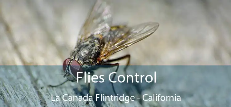 Flies Control La Canada Flintridge - California