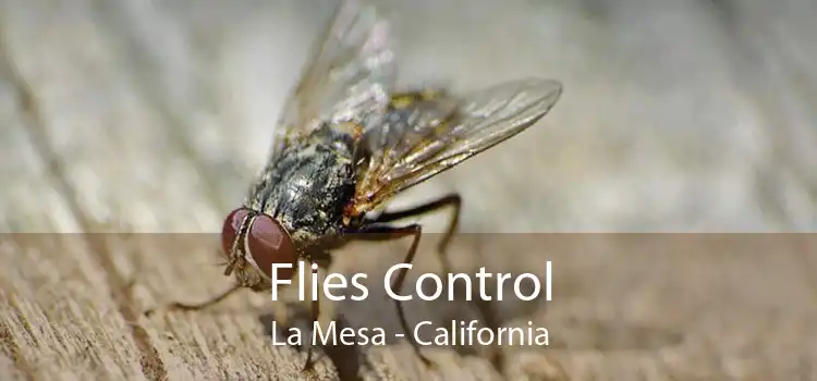 Flies Control La Mesa - California