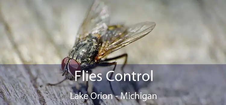 Flies Control Lake Orion - Michigan