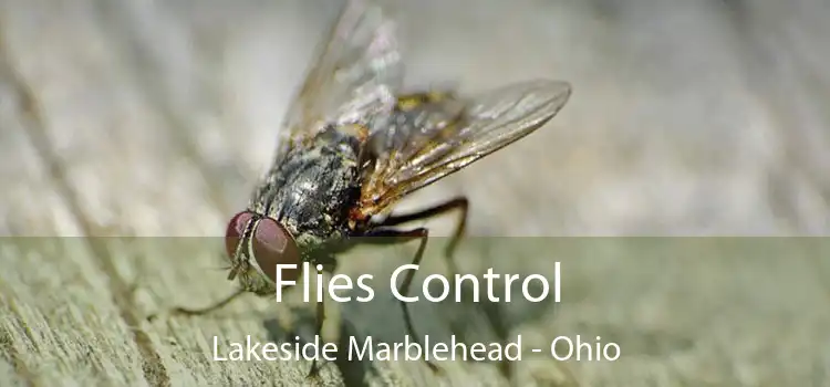 Flies Control Lakeside Marblehead - Ohio