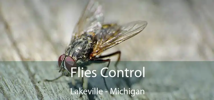 Flies Control Lakeville - Michigan