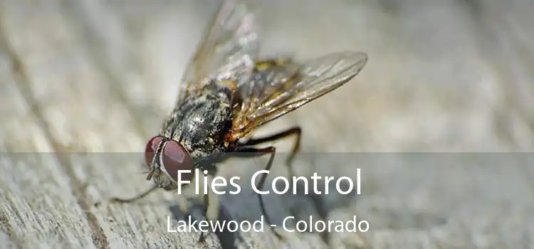 Flies Control Lakewood - Colorado