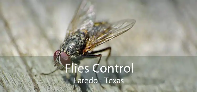 Flies Control Laredo - Texas