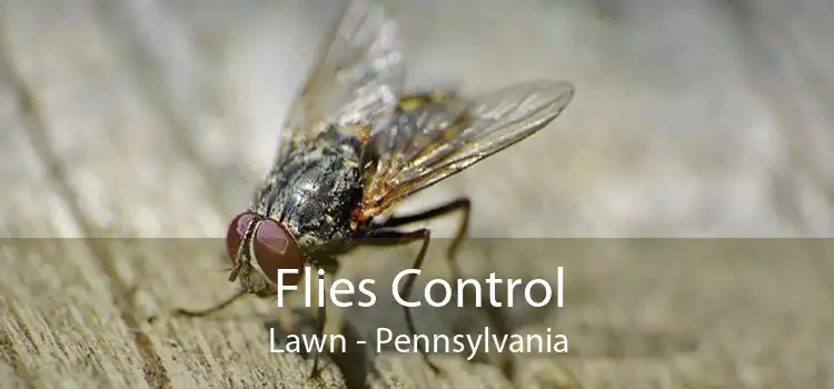 Flies Control Lawn - Pennsylvania