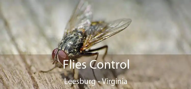 Flies Control Leesburg - Virginia