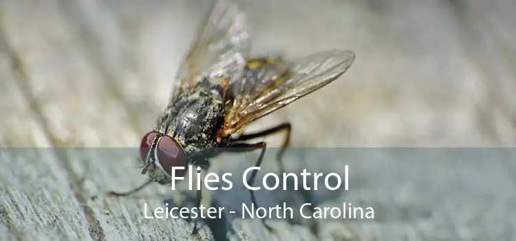 Flies Control Leicester - North Carolina