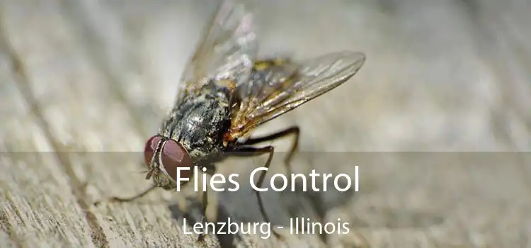 Flies Control Lenzburg - Illinois