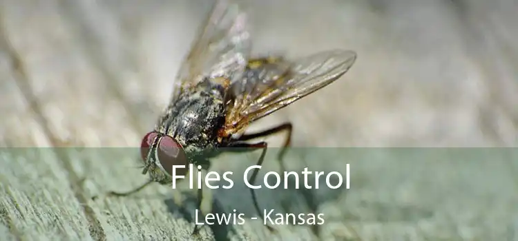 Flies Control Lewis - Kansas
