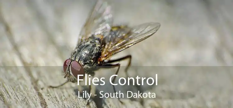 Flies Control Lily - South Dakota