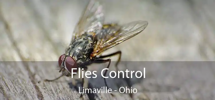 Flies Control Limaville - Ohio