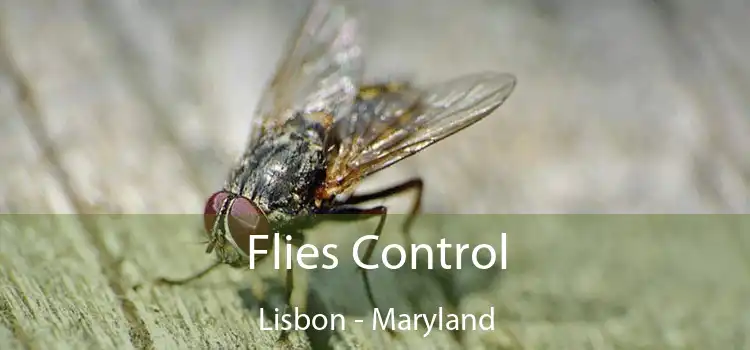 Flies Control Lisbon - Maryland