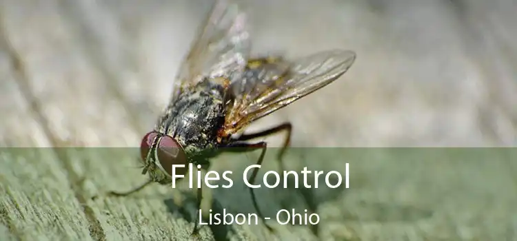 Flies Control Lisbon - Ohio