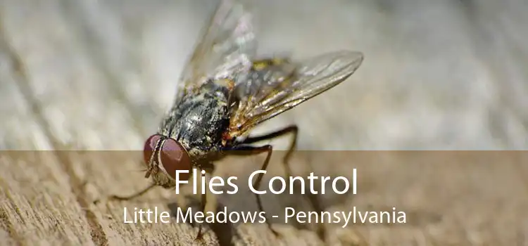 Flies Control Little Meadows - Pennsylvania