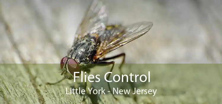 Flies Control Little York - New Jersey