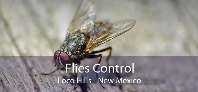 Flies Control Loco Hills - New Mexico