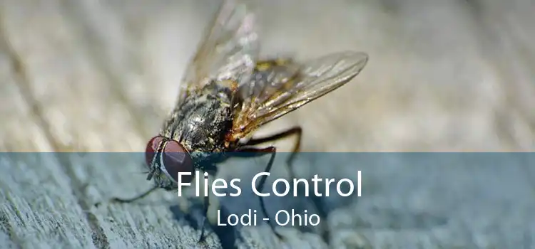 Flies Control Lodi - Ohio