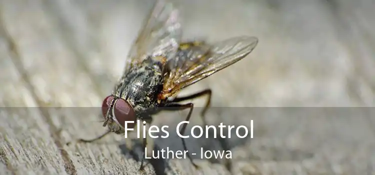 Flies Control Luther - Iowa