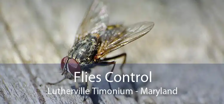 Flies Control Lutherville Timonium - Maryland