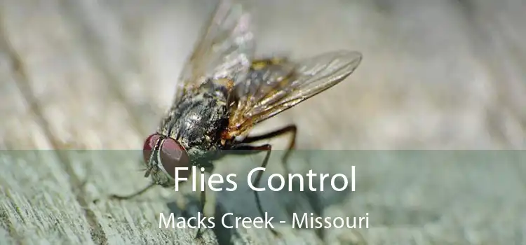 Flies Control Macks Creek - Missouri