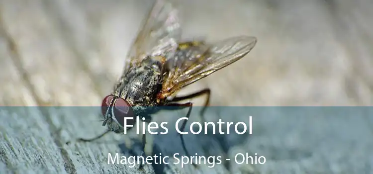 Flies Control Magnetic Springs - Ohio