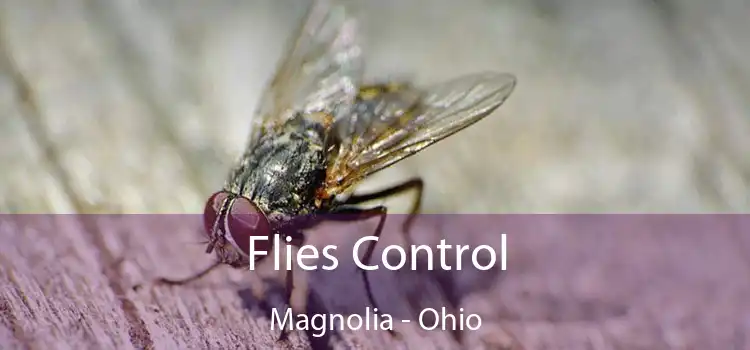 Flies Control Magnolia - Ohio