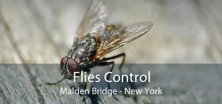 Flies Control Malden Bridge - New York