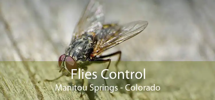 Flies Control Manitou Springs - Colorado
