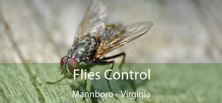 Flies Control Mannboro - Virginia