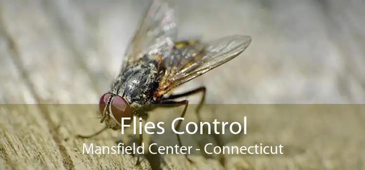 Flies Control Mansfield Center - Connecticut