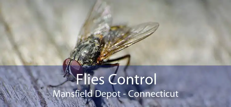 Flies Control Mansfield Depot - Connecticut