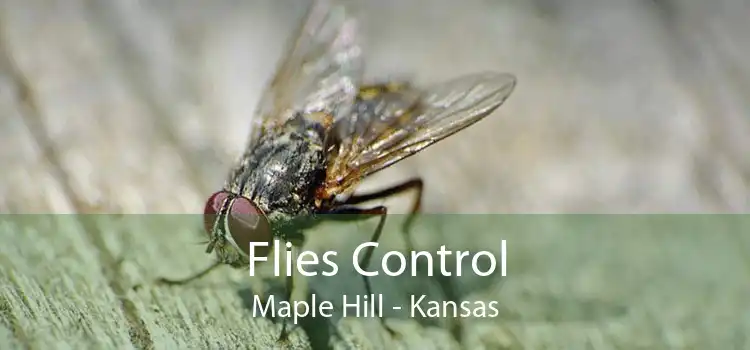 Flies Control Maple Hill - Kansas