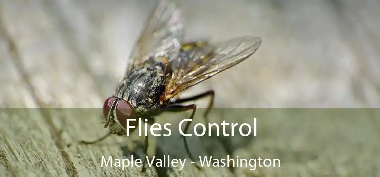 Flies Control Maple Valley - Washington