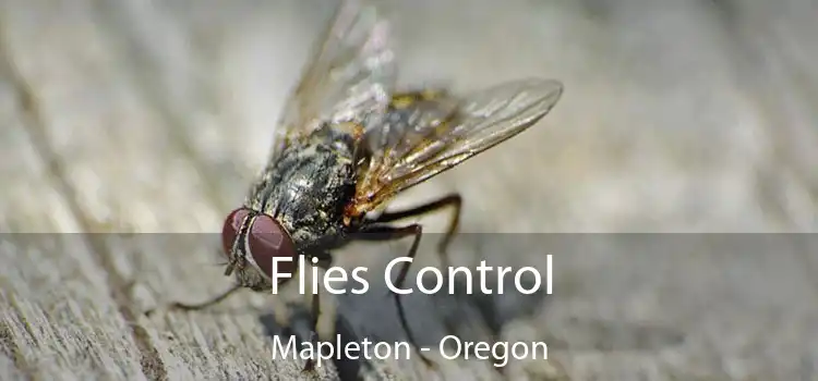 Flies Control Mapleton - Oregon